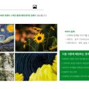 쭈니마켓