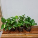 하람한의원 이미지