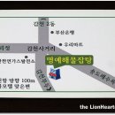 해물잡탕 Daum카페