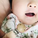 아기치발기 푸페푸페 오가닉쪽쪽이클립 100일아기 완전 만족한 후기