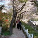 천자봉사우나 이미지