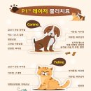 아이봄동물병원 이미지