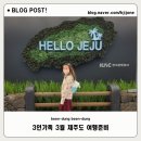 윈드힐펜션 | 3인 가족 3월 제주도 2박 3일 항공권 렌트카 숙소 여행준비