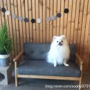 멍스토리 이미지