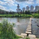 안양천(좌안) 이미지