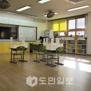 심곡초 이미지