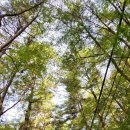 봉암동수원지입구 | 창원가볼만한곳 팔용산걷기대회 봉암수원지 산책