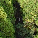 제주코 | [W4-4 제주스냅] 제주 웨딩스냅 코지스트 리얼 후기｜장소별 리뷰와 실제 결과물