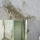 어양동 오투그란데 이미지