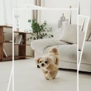 휴인 | 강아지 미끄럼방지 매트 추천 고민 끝에 선택한 휴인매트 후기