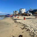 이마트24 동해묵호등대점 | 강원도 동해(+묵호) 1박 2일 여행 코스 추천