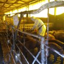 동면 행정복지센터 이미지