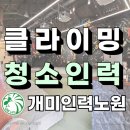 개미인력직업소개소 이미지