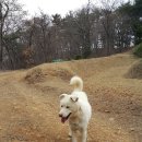 자룡농장 이미지