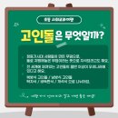 화순고인돌유적지(선사체험장밖) | 2024 화순 고인돌 가을꽃축제 기본정보 일정 직접 다녀온 후기