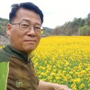 유채씨앗 봄파종용 구합니다 이미지