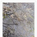 황령산주유소 이미지