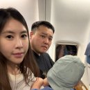 더 라스트 호텔(THE LAST HOTEL) | 24개월 아기와 괌 여행｜하얏트 리젠시 괌 오션프론트 디럭스 무료 업그레이드 후기