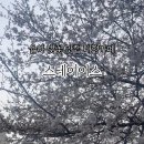 스테이어스(STAYUS) 이미지