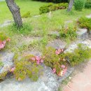 작천면사무소 이미지