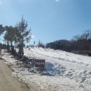 알멕스리조트 티스토리
