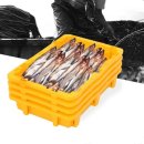 아트플러스 이미지