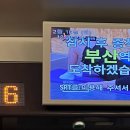 부산1탄_친구들과 부산여행