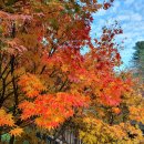 우면산5-13 이미지