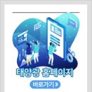 대한티에스 주식회사