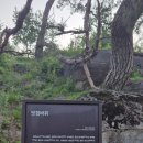 최제, 최혁 효자 정문 이미지