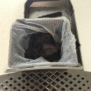 1224 | 필립스 1200시리즈 EP1224/03 전자동 커피머신 내돈내산 후기