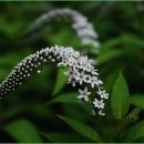 맹자에게 배우는 진심 이미지