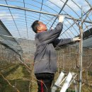 절골농장 이미지