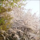 경서중학교 이미지