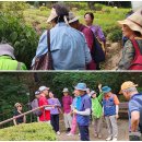 한밤의 사진편지 제 3071호(제 712회 주말걷기 후기- 황인복/'25/6/15/일) 이미지
