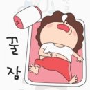 클로버짐 - 12792 | 클로버짐