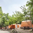 서울대공원 캠핑장 이미지