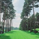 솔모로골프장 이미지