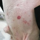 협진반점 이미지