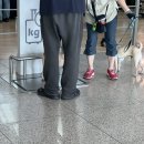 세명자동차써비스 | 모냉이랑 오키나와 1편 (어떻게 바다가 에메랄드...? 렌트카 대여, 현지인 추천 스팟 세나가 섬...