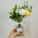 에이치블랑(H.BLANC) 네이버블로그