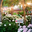 신대호 축사 네이버블로그