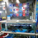 UR(광주광역시)-[양림로]-상-1 | 광주 남광주시장 새조개 샤브샤브 맛집 풍성식당 15만원 후기 달다 달아