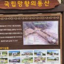 구름동산 이미지