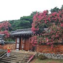 무태 이미지