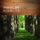 봄 꽃길김밥 이미지