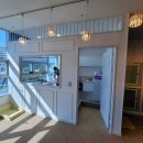 퍼피루시드 이미지