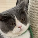 키라빌딩 이미지