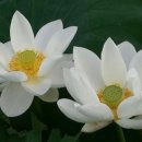 (주)현토 이미지