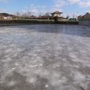 동문초등학교 앞 이미지